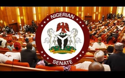 2027 Senate Race: 1,303 Candidates Jostle for 109 Seats as Political Battle Intensifies